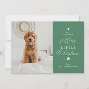 Merry Litte Christmas Pet Photo Flat Holiday Card