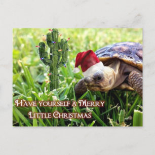 Merry Little Christmas - Desert Tortoise Postcard