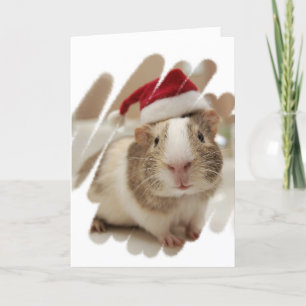 Merry Little Christmas Holiday Card
