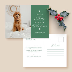Merry Little Christmas Pet Holiday Postcard