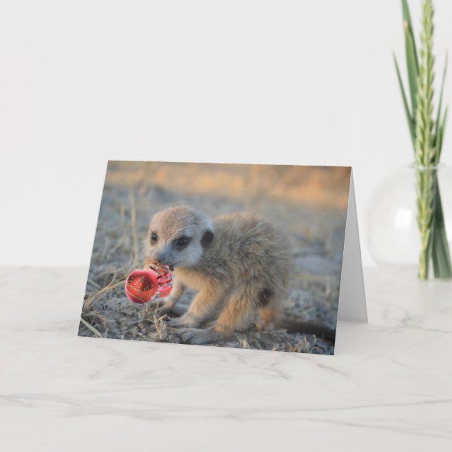Merry Little Meerkat Christmas - Greeting Card (Front)