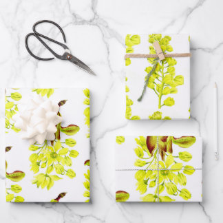 Merry Maples on a Wrapping Paper Set of 3