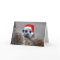 Merry Meerkat Christmas - Seasons greetings 2