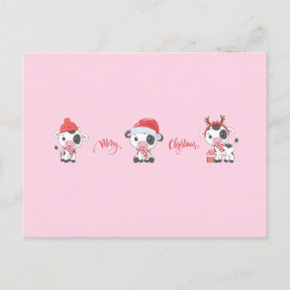 Merry Moos (Baby Cows) Christmas Holiday Postcard
