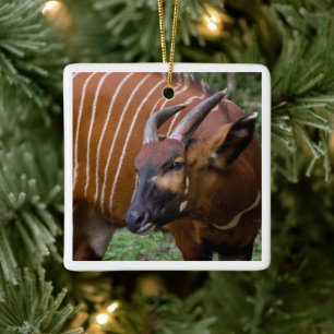 Merry Mountain Bongo Antelope! Ceramic Ornament
