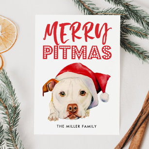 Merry Pitmas   Funny Santa Pit Bull Dog Holiday Card