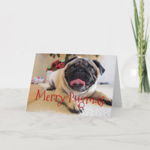 Merry Pugmas Christmas card
