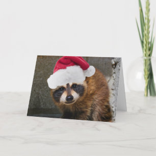 Merry Racoon Christmas Holiday Card