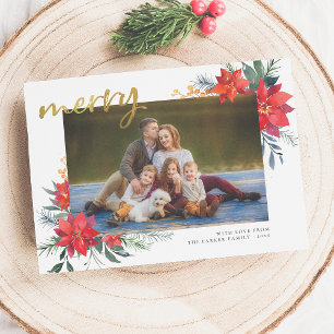 Merry   Winter Poinsettia & Pine Holiday Photo Card