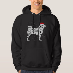 Merry Xmas Akita Dog Christmas Hoodie