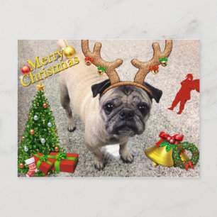 Merry X'mas Postcard Machi