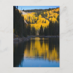 Mesa Lakes in Autumn Postcard