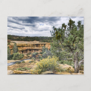 Mesa Verde Cliff Dwellings Postcard