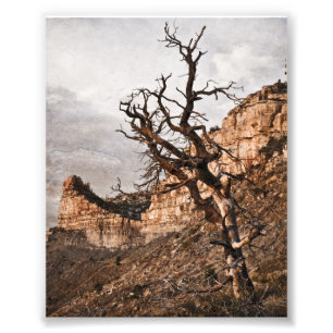Mesa Verde Print