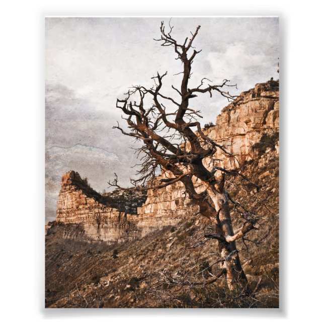 Mesa Verde Print (Front)