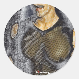 mesh classic round sticker