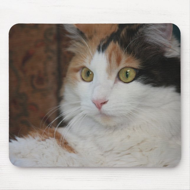 Mesmerised Feline Mouse Pad (Front)