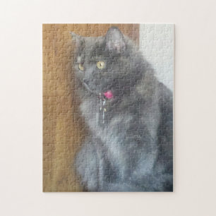 Mesmerised Grey Cat Jigsaw Puzzle