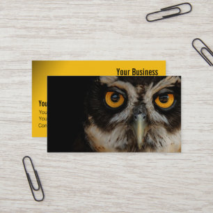 Mesmerising Golden Eyes of a Spectacled Owl Business Card