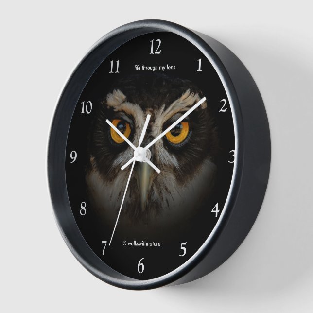 Mesmerising Golden Eyes of a Spectacled Owl Clock (Angle)