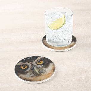 Mesmerising Golden Eyes of a Spectacled Owl Coaster