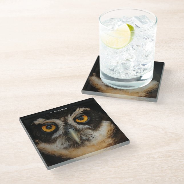 Mesmerising Golden Eyes of a Spectacled Owl Glass Coaster (Angled)