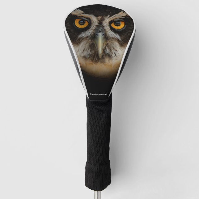 Mesmerising Golden Eyes of a Spectacled Owl Golf Head Cover (Front)
