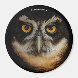 Mesmerising Golden Eyes of a Spectacled Owl Magnet