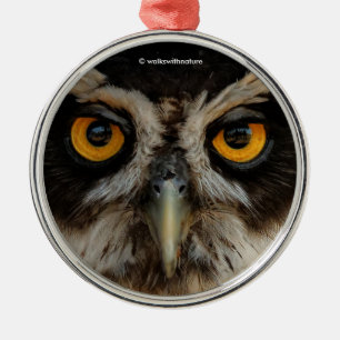 Mesmerising Golden Eyes of a Spectacled Owl Metal Ornament