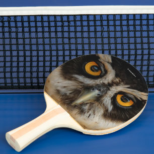 Mesmerising Golden Eyes of a Spectacled Owl Ping Pong Paddle