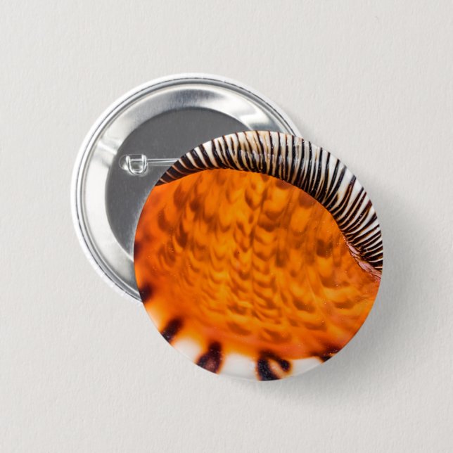 Mesmerising seashell 6 cm round badge (Front & Back)
