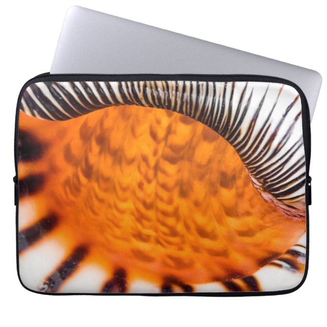 Mesmerising seashell laptop sleeve (Front)