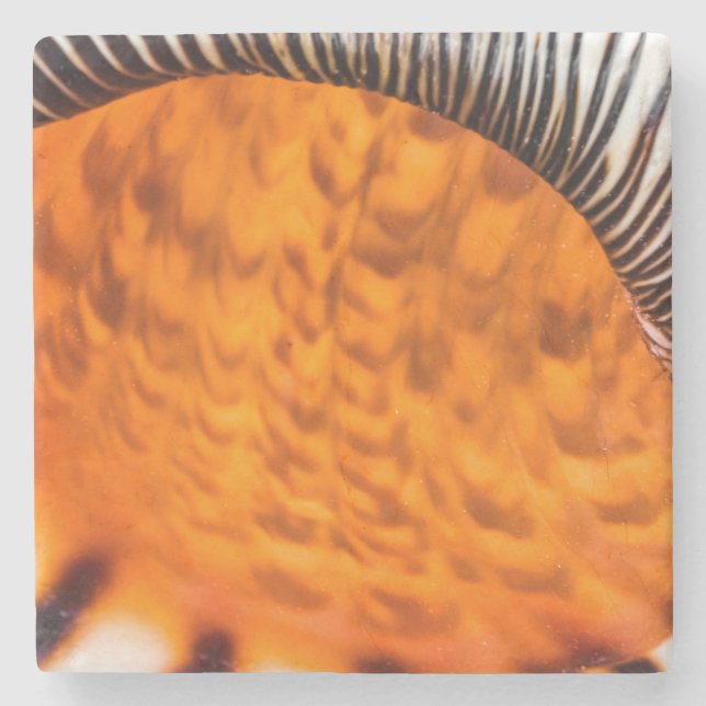 Mesmerising seashell stone coaster (Front)