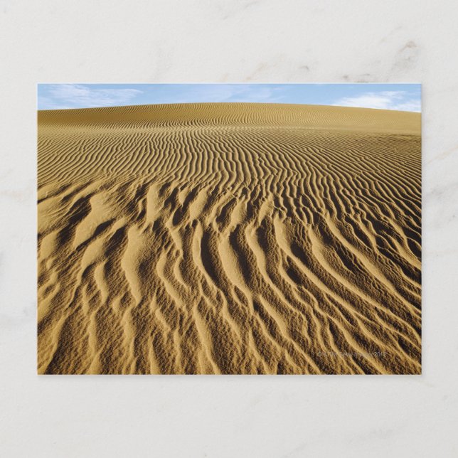 Mesquite Dunes, Death Valley National Park, Postcard (Front)