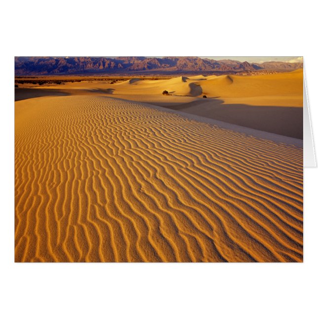 Mesquite Flat Sand dunes in Death Valley (Front Horizontal)