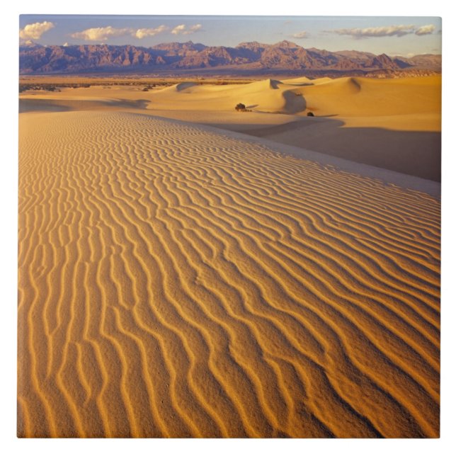 Mesquite Flat Sand dunes in Death Valley Ceramic Tile (Front)