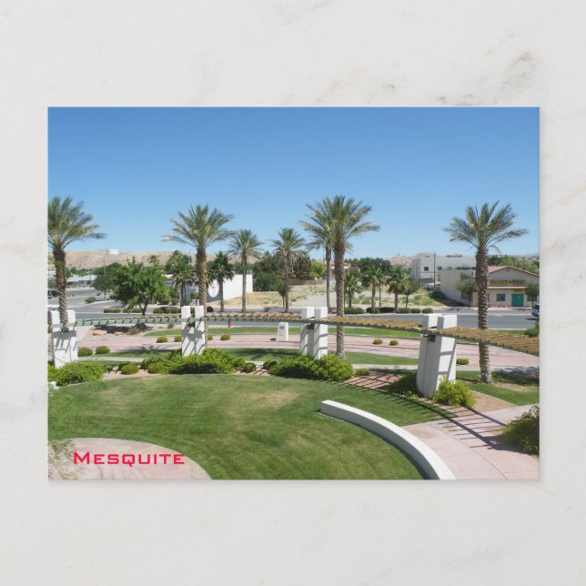 Mesquite Postcard (Front)