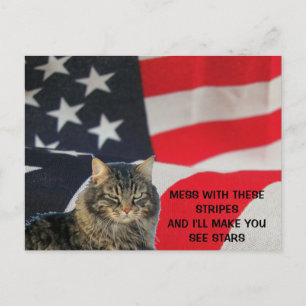 Mess With Flag Make You See Stars Postcard