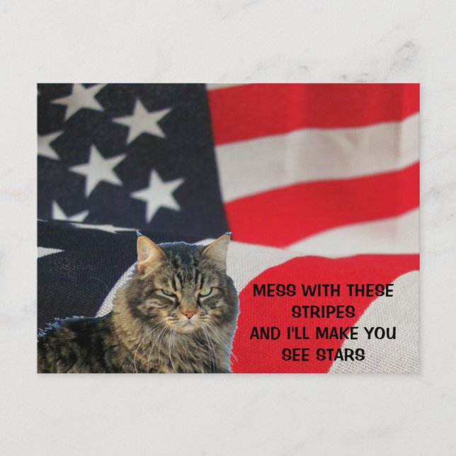 Mess With Flag Make You See Stars Postcard (Front)