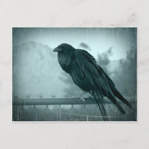 Messenger Postcard