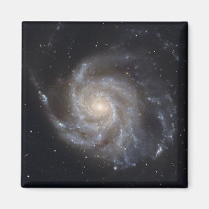 Messier 101, the Pinwheel Galaxy Magnet