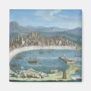 Messina - a Panoramic View of the Port Magnet