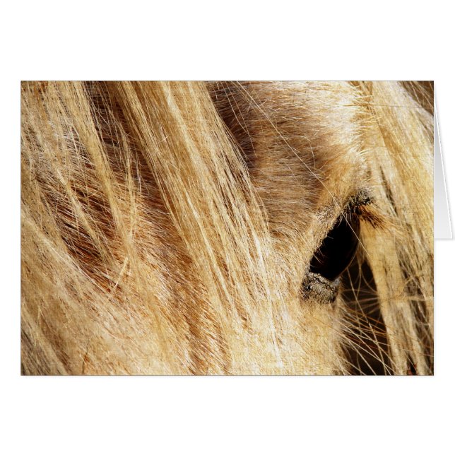 Messy Mane Day (Front Horizontal)