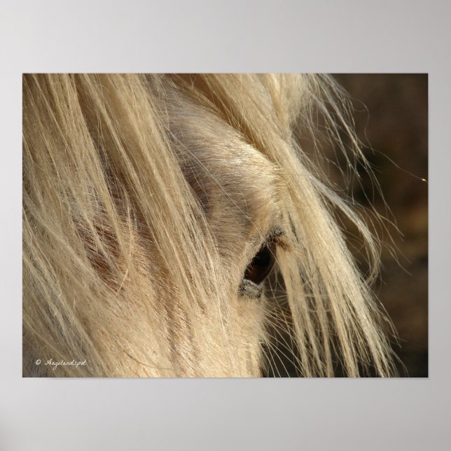 Messy Mane Poster (Front)