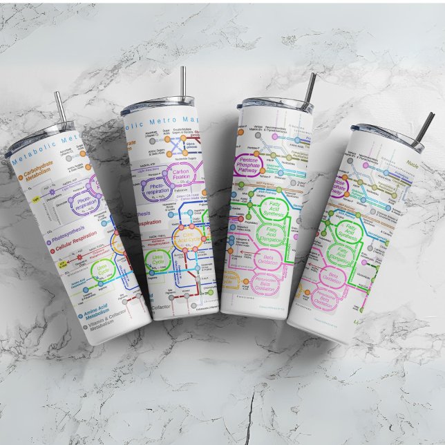 Metabolic pathway map thermal tumbler (Creator Uploaded)
