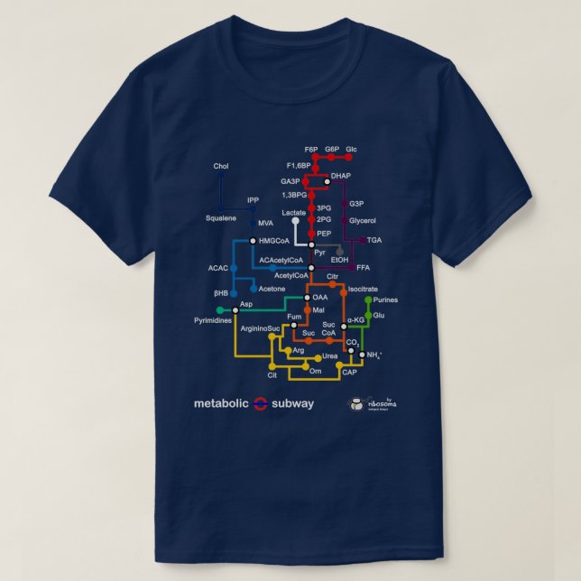 Metabolic subway 2 T-Shirt (Design Front)
