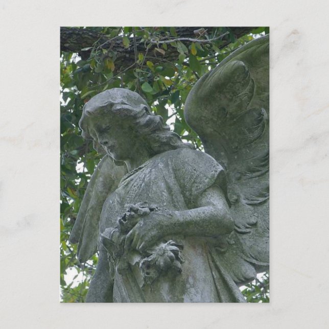 Metairie Angels Statues Postcard (Front)