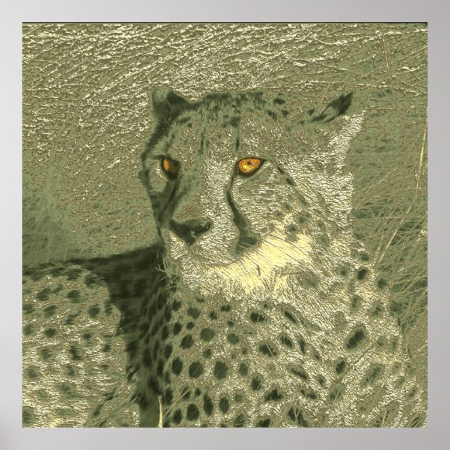 metal cheetah poster (Front)