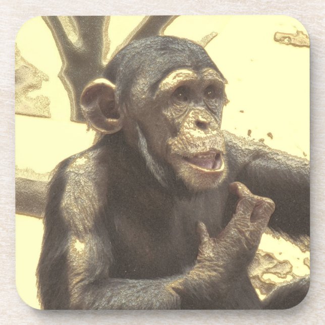 metal Chimp Coaster (Front)