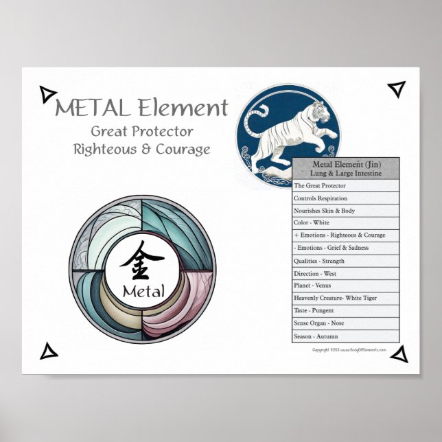 Metal Element Acupuncture Poster (Front)